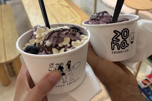 ZONA - frozen yogurt