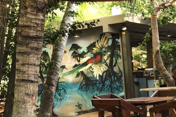 Jungle Cafe