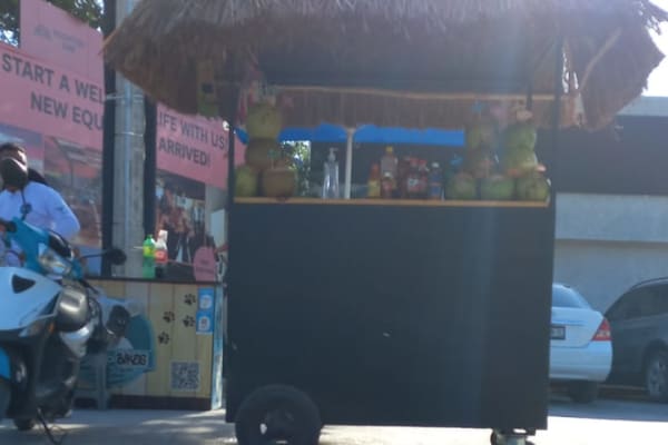 Los cocos Tulum / Coconuts Tulum