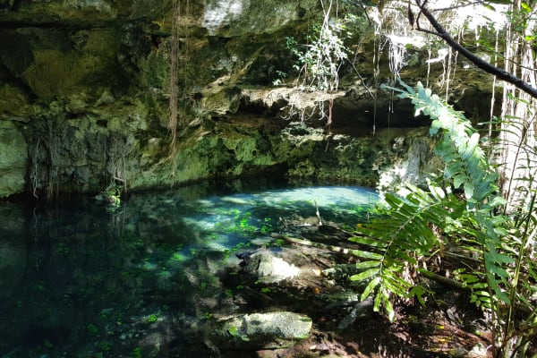 Cenote Natura Glamping
