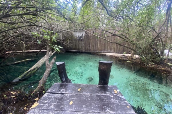 Holy Deer Cafe & Cenote