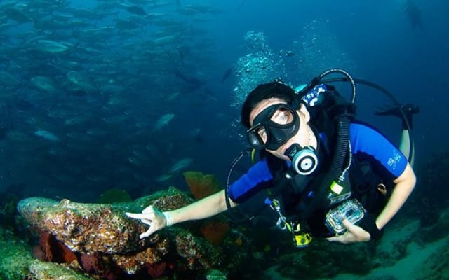 Discover Scuba Diving