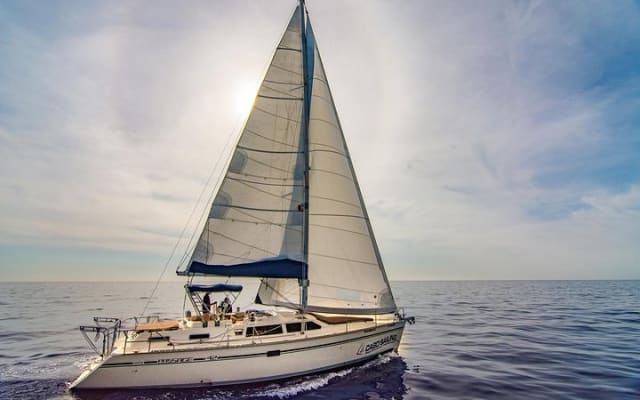 Velero privado de lujo de 42 pies con snorkel en Los Cabos photo 3