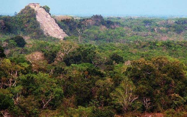 Private Tour Pyramids Tulum and Coba with Night Show in the Park Xcaret photo 3