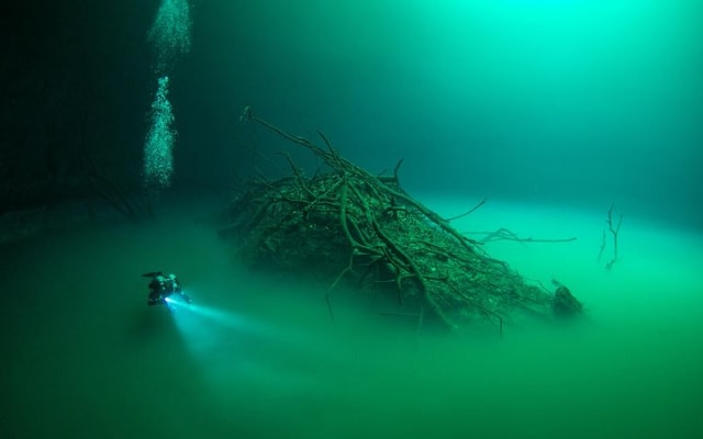 2 cenote divings (including one deep diving) for advanced divers in Tulum photo 2