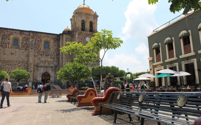 Full-Day Tequila, Jalisco from Puerto Vallarta with Tequila Experience photo 3