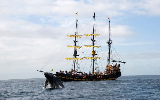 Whale-Watching Pirate Ship Cruise in Los Cabos photo 8