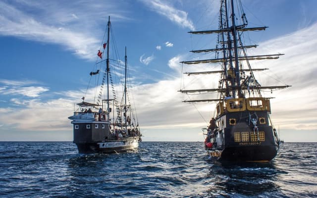 Whale-Watching Pirate Ship Cruise in Los Cabos photo 6