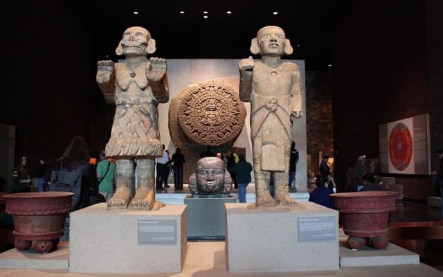 Anthropology Museum Guided Tour