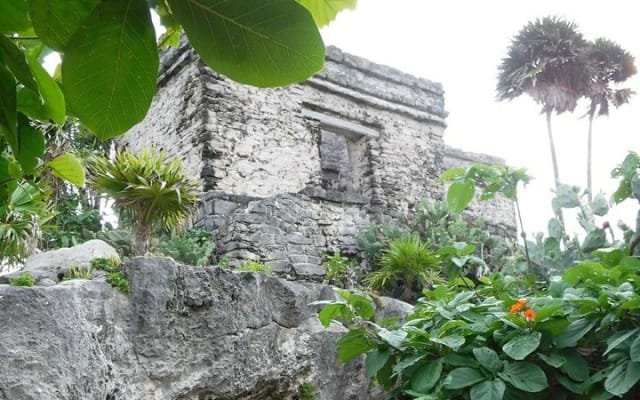 Tulum Ruins Tour (Private, Half Day) photo 3
