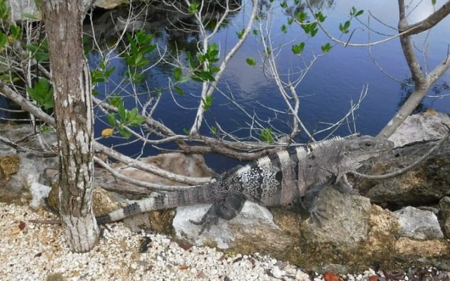 Tulum Adventure (Private, Full Day) photo 2