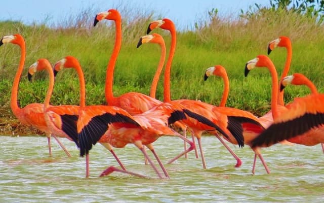 Las Coloradas photo 7