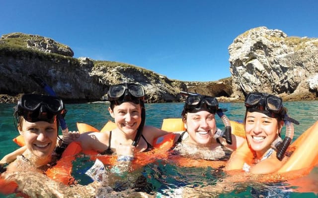 Whale Watching and Snorkeling in Marietas Islands National Park photo 7