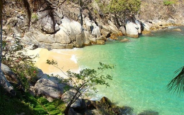 Excursion privée de snorkeling et de plage aux Los Arcos depuis Puerto Vallarta photo 4