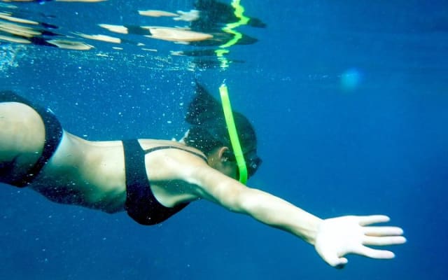 Excursion privée de snorkeling et de plage aux Los Arcos depuis Puerto Vallarta photo 5