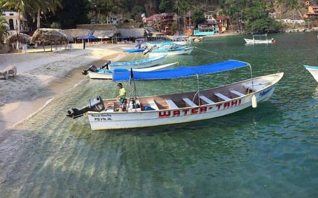 Excursion privée de snorkeling et de plage aux Los Arcos depuis Puerto Vallarta photo 7