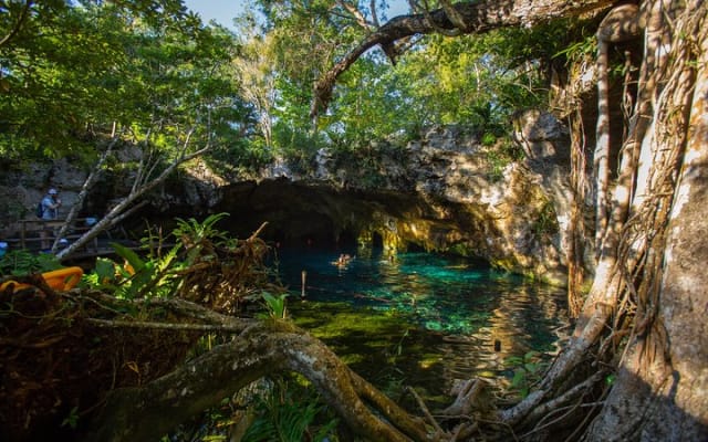 Cenotes trail jungle bike tour in Tulum with lunch photo 4