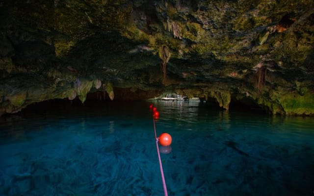 Cenotes trail jungle bike tour in Tulum with lunch photo 5