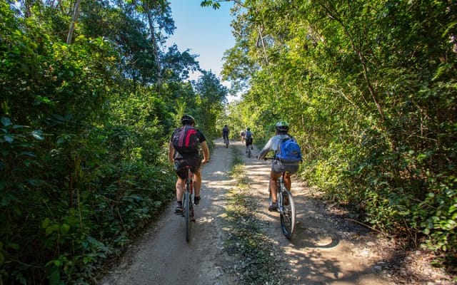 Cenotes trail jungle bike tour in Tulum with lunch photo 3
