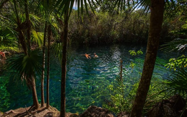 Cenotes trail jungle bike tour in Tulum with lunch photo 7