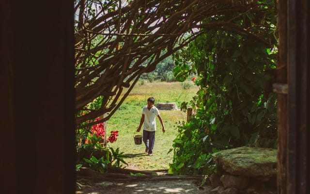 Mayan Backroads Private Bike Tour from Tulum photo 5