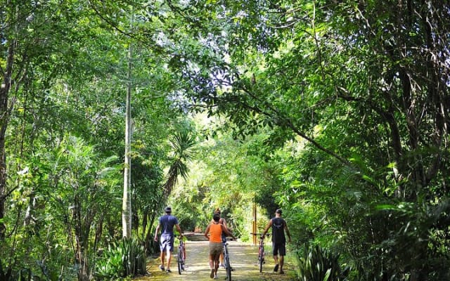 Mayan Backroads Private Bike Tour from Tulum photo 14