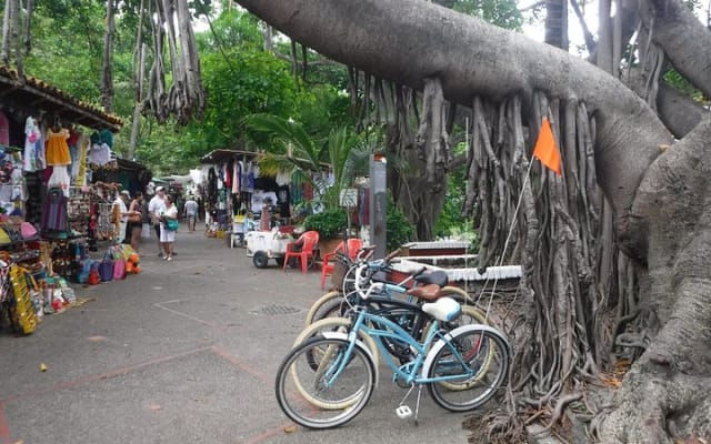 Private Tour in El Malecon Boardwalk Bike Ride photo 5