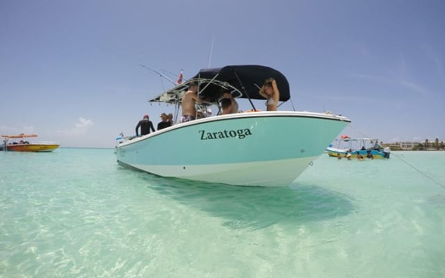 Rencontre avec le requin-baleine, visite privée - nagez avec le requin-baleine depuis Cancún photo 15
