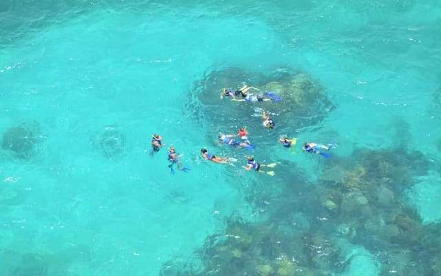 All Inclusive Caribbean adventure, reef snorkeling, Food & Drinks photo 5