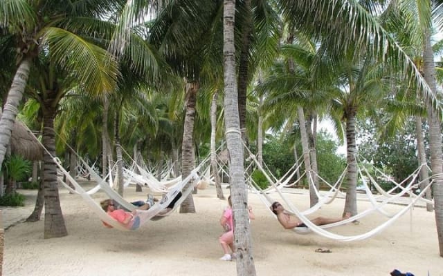 All Inclusive - Xel-Ha Park Tour from Cancún & Playa del Carmen photo 4