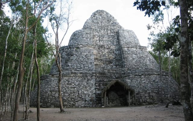 Best Tour to Tulum, Coba, Playa Del Carmen and Cenote swim photo 9