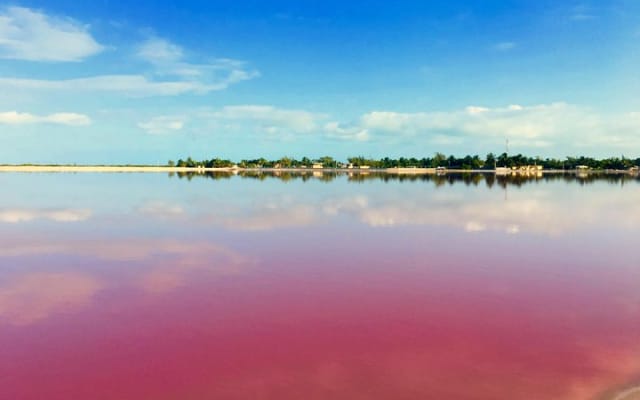 4 best spots in Cancún 1day! CHICHÉN ITZÁ, 2CENOTES, PINK LAKE photo 11
