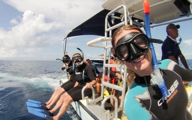 Rencontre avec le requin-baleine, visite privée - nagez avec le requin-baleine depuis Cancún photo 7