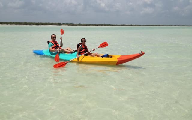 Kayaking Tour Through the Mangroves in Isla Holbox photo 4