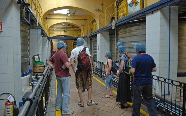 Full-Day Tequila, Jalisco from Puerto Vallarta with Tequila Experience photo 6
