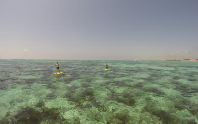 Paddleboard Rentals 3, 5 , 7 days photo 6