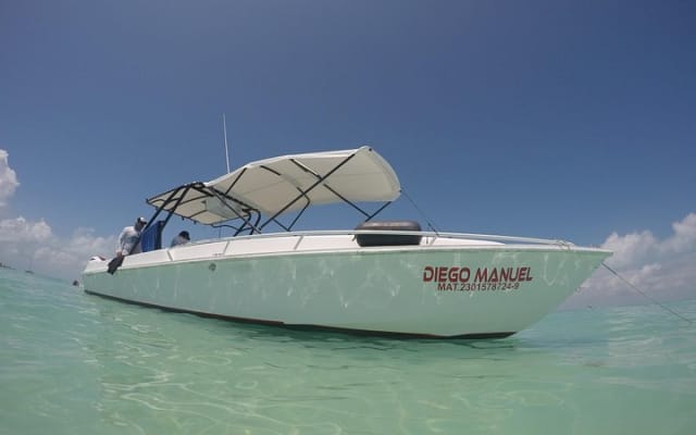 Rencontre avec le requin-baleine, visite privée - nagez avec le requin-baleine depuis Cancún photo 8