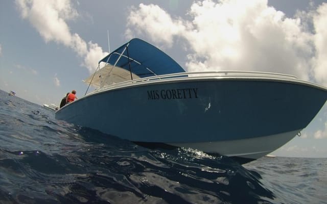 Rencontre avec le requin-baleine, visite privée - nagez avec le requin-baleine depuis Cancún photo 13