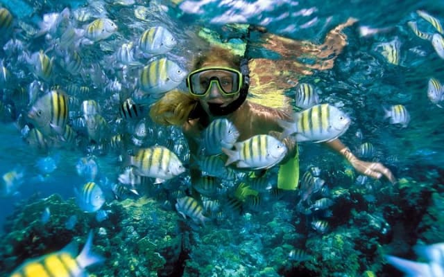 Enjoy an amazing day in Isla Mujeres with snorkeling food, drinks photo 8
