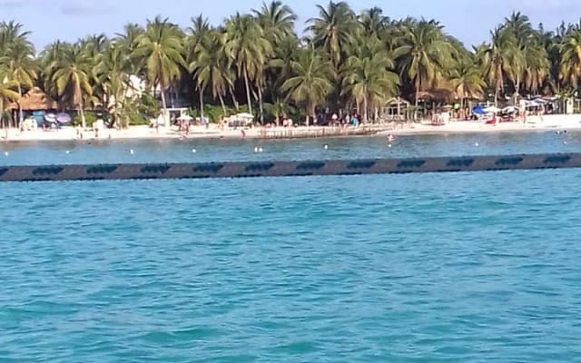 Enjoy an amazing day in Isla Mujeres with snorkeling food, drinks photo 4
