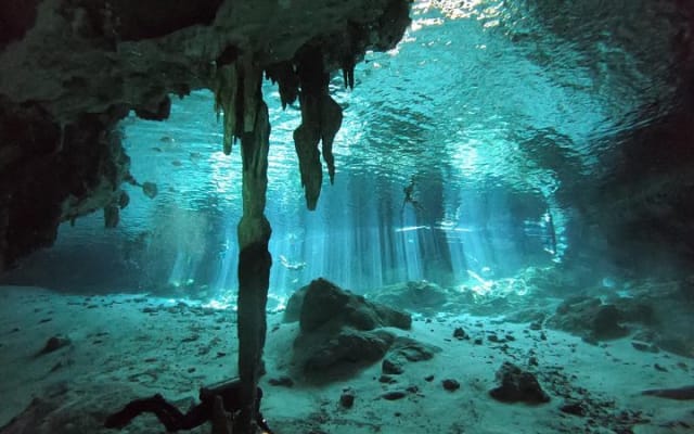 Tulum cenote diving. The ultimate experience in scuba photo 8