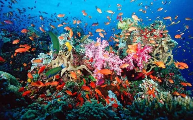 ATV Adventure Combo with Snorkeling, Ziplines, Cenote, and Lunch photo 13