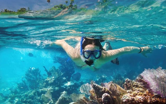 Reef Snorkel, underwater adventure in Puerto Morelos With Transportation & Lunch photo 11