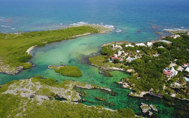 Tour privado VIP de cenotes photo 9