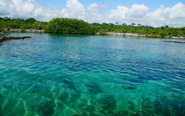 Tour privado VIP de cenotes photo 4