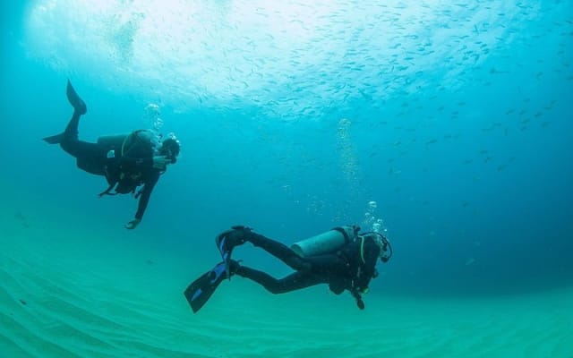 Apprenez à plonger à Cabo San Lucas avec PADI photo 8