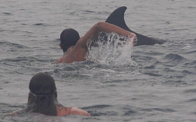 Private Wild Dolphin Encounter in Puerto Vallarta photo 3