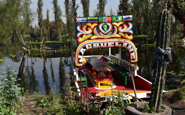 Xochimilco & Coyoacán Private Tour: Canals, Markets & Local Food