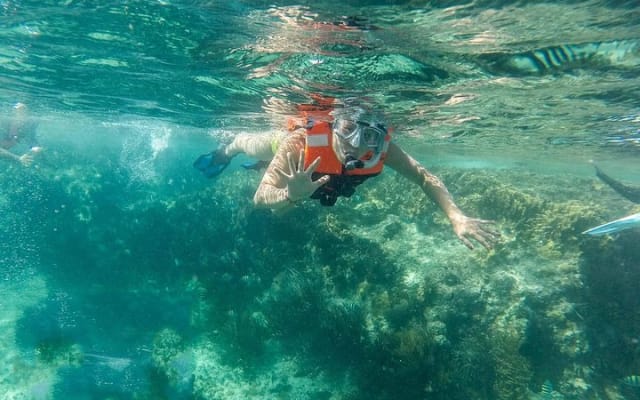 Snorkeling Adventure in Isla Mujeres photo 3