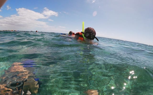 Reef Snorkel, underwater adventure in Puerto Morelos With Transportation & Lunch photo 13